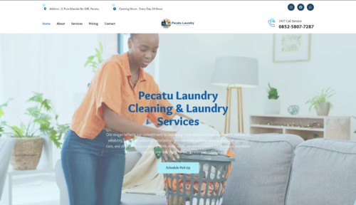 PECATULAUNDRY.COM